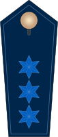 Dienstgradabzeichen der Schutzpolizei