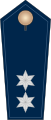 der Schutzpolizei