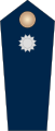 der Wasserschutzpolizei Hamburg