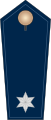 der Schutzpolizei